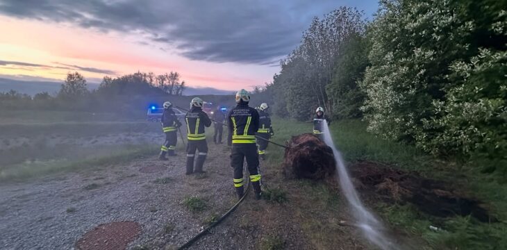 Vegetationsbrand (B2) • 22.04.2025, 19:56 Uhr