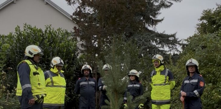 Baum in Not! Baumpflanzchallenge • 13.09.2025